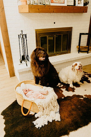 A-6903