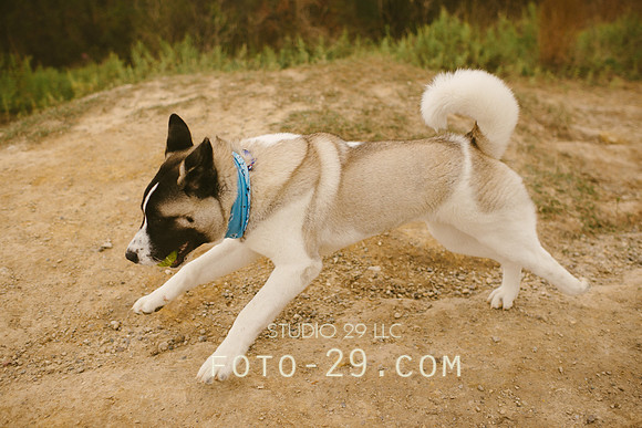 Oct_Kenzo-1096