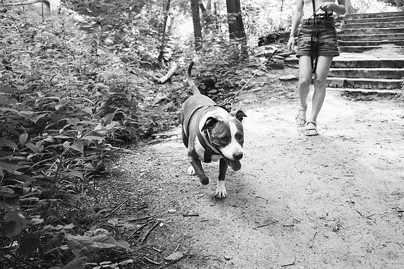 OffLeash2024-0547-2