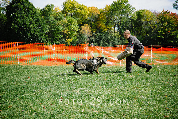 barktoberfest-9481
