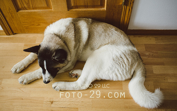 kenzoo-0696