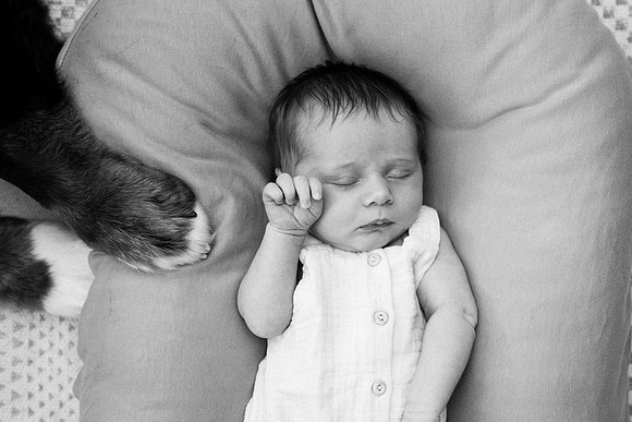 Evie-1377