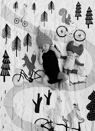 Charlie-Newborn-9259