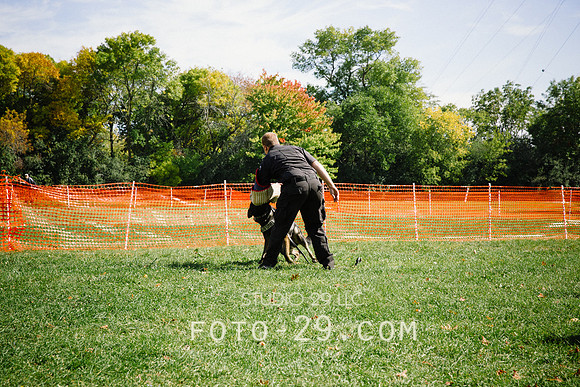 barktoberfest-9484