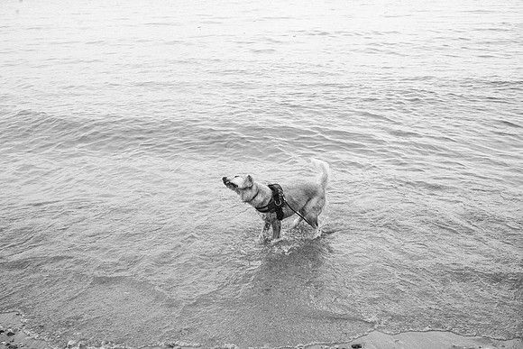 OffLeash2024-0875-2
