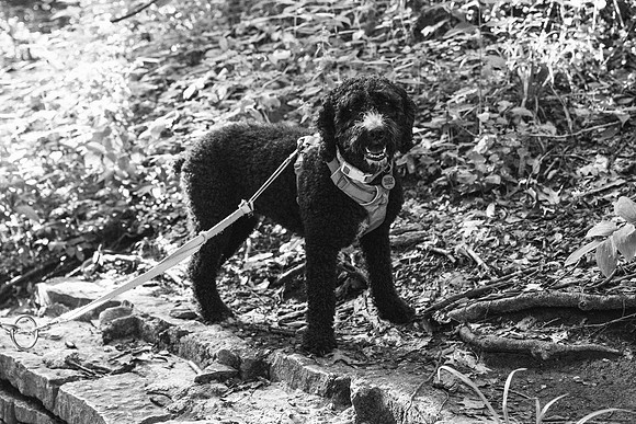 OffLeash2024-0581-2