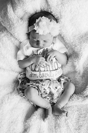 Everly-2247-2