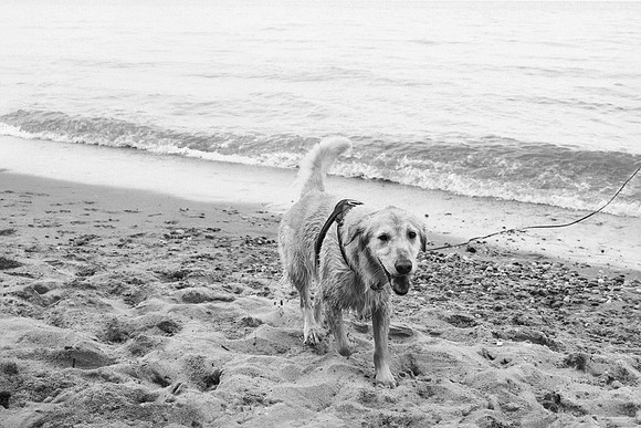 OffLeash2024-0939-2