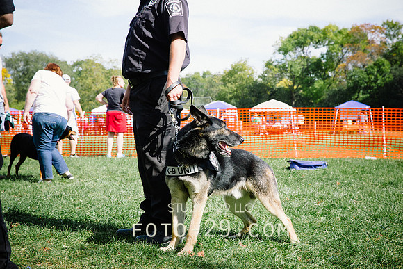 barktoberfest-9468