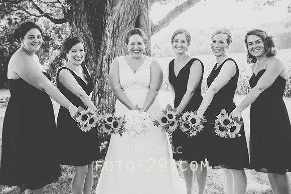 KM-Wedd-262bw