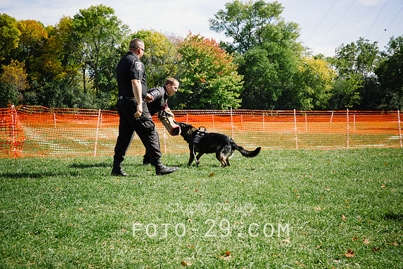barktoberfest-9487
