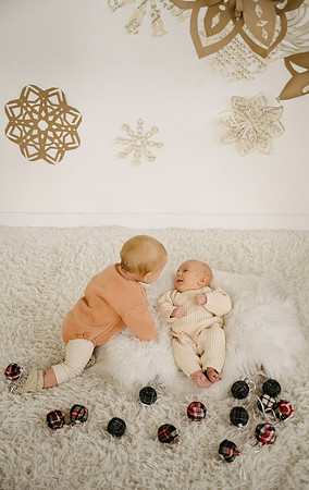 Snowflake24-97