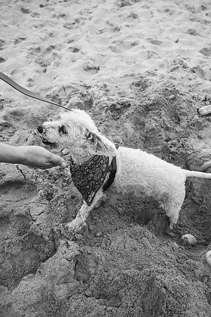OffLeash2024-0950-2