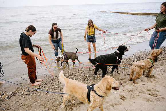 OffLeash2024-0895