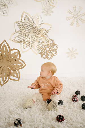 Snowflake24-79