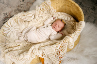 Ottilie Bowie Studio Newborn Session July 2024