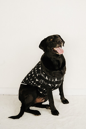 Pajamas24-9503