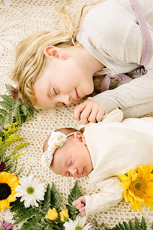 Willow-5429