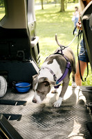 OffLeash2024-0392