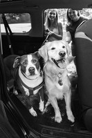 OffLeash2024-0407-2