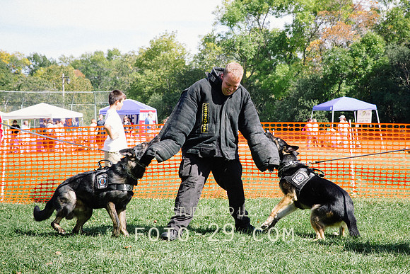 barktoberfest-9503