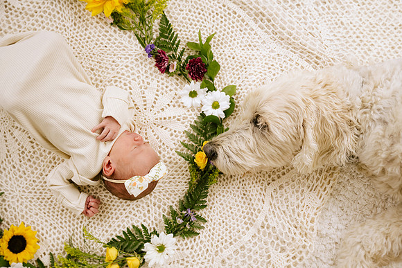 Willow-5403