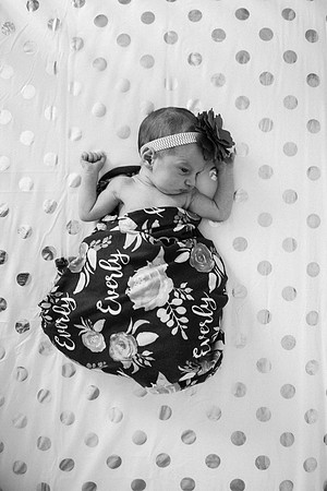 Everly-2373-2