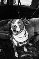 OffLeash2024-0397-2