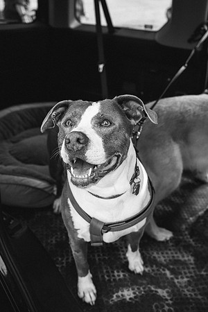 OffLeash2024-0397-2