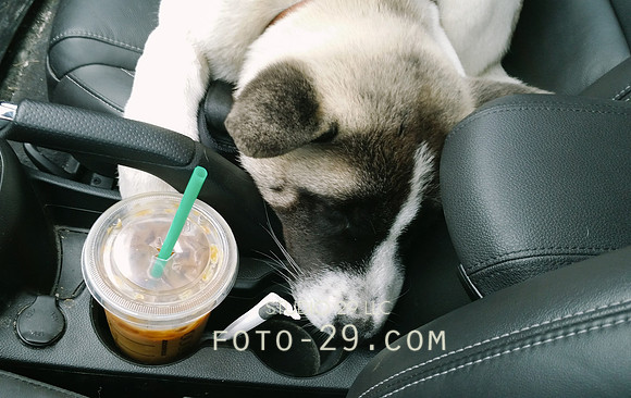 20140821_141038K-Starbucks