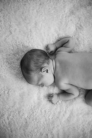 Everly-7480-2