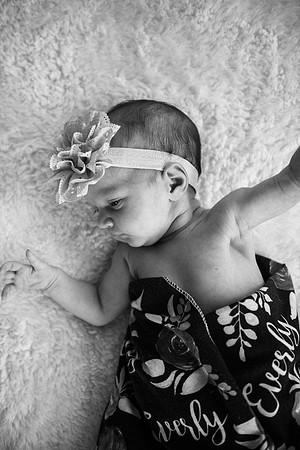 Everly-7407-2