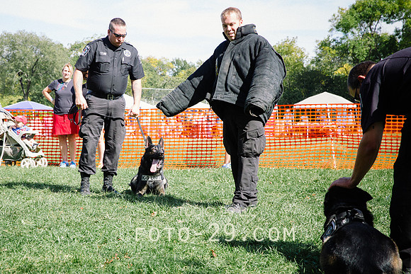 barktoberfest-9506