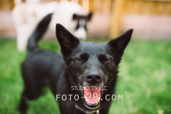 Ellie-0377