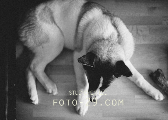 kenzoo-0691