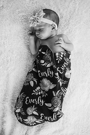 Everly-7397-2