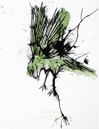 Green Bird