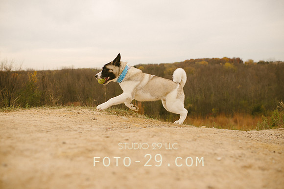 Oct_Kenzo-1106
