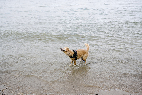 OffLeash2024-0875