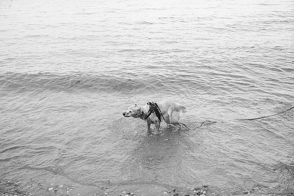 OffLeash2024-0876-3