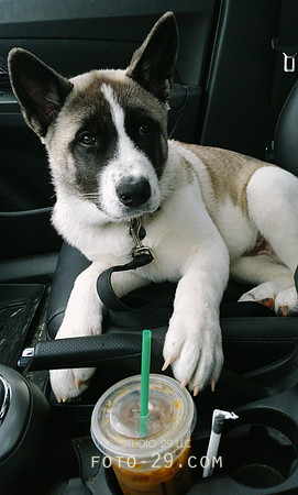 20140821_140735K-Starbucks
