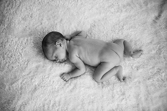 Everly-7458-2