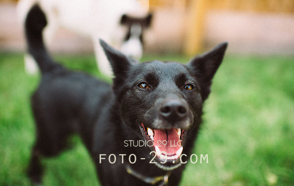 Ellie-0376