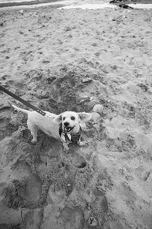 OffLeash2024-0956-2