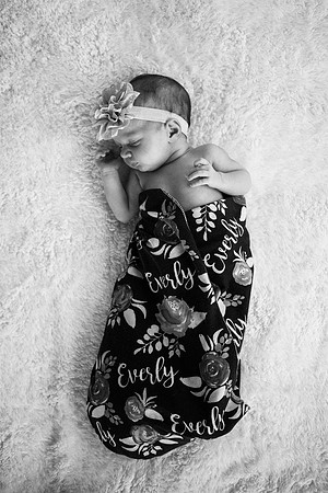 Everly-7405-2
