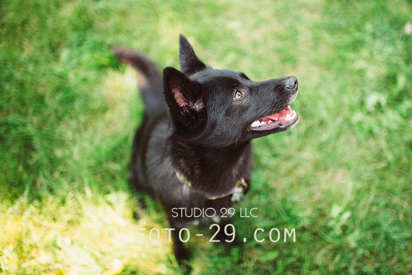 Ellie-0379