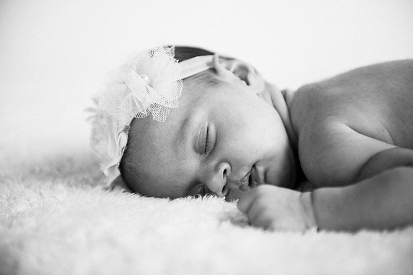 Everly-7446-2