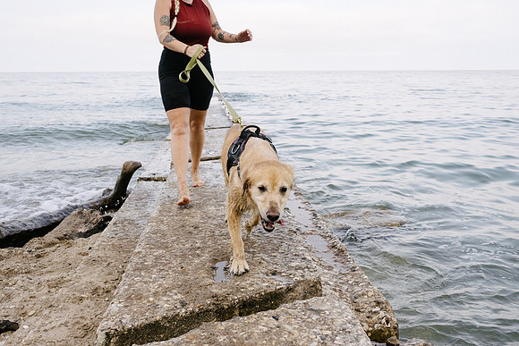 OffLeash2024-0822
