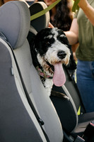 OffLeash2024-0420