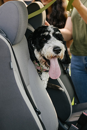 OffLeash2024-0420